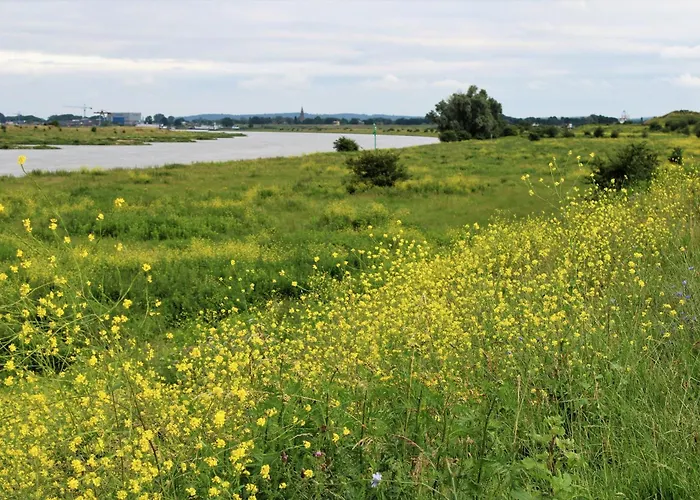 Vakantiehuis Bloom-Inn Gastvrij Genieten